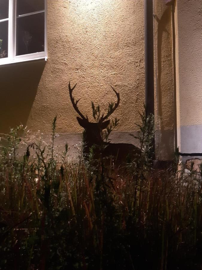 Ferienwohnung Castellberg Heitersheim Exterior foto